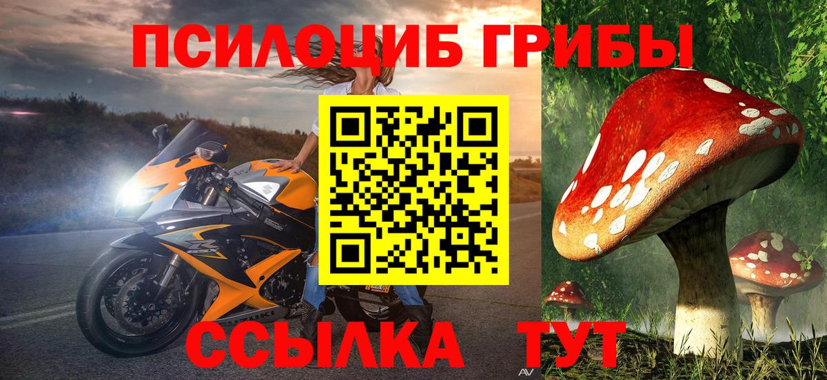 Псилоцибиновые грибы Psilocybine cubensis  Вход с VPN  Псилоцибиновые грибы Psilocybe  Прокопьевск 