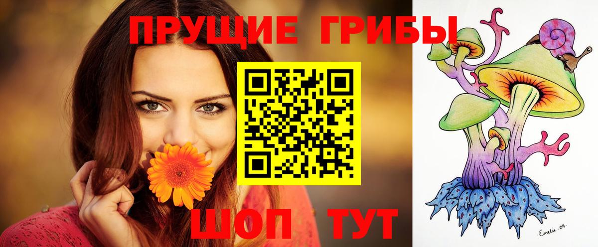Псилоцибиновые грибы прущие грибы Прокопьевск
